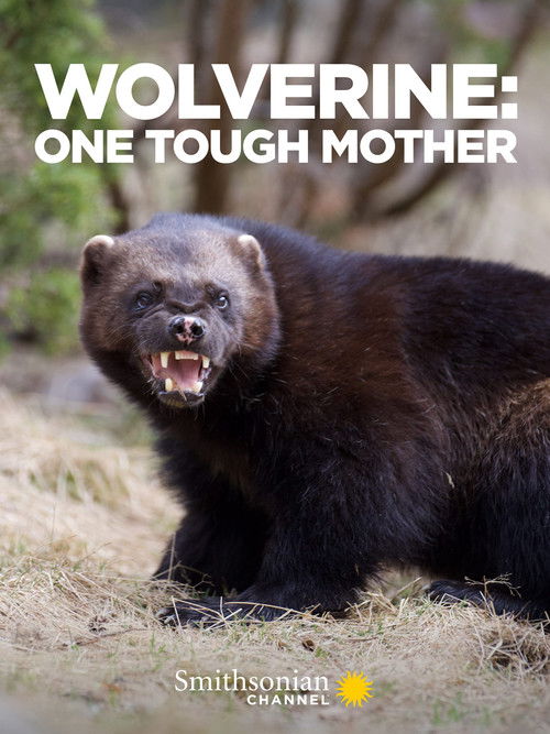 Wolverine: One Tough Mother (2021) poster