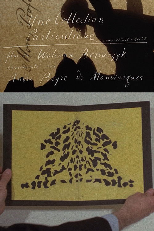 A Private Collection (1972) poster