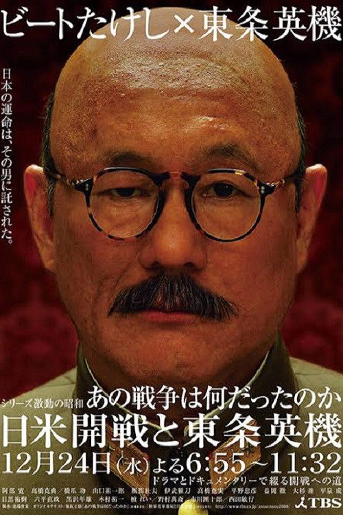 What the War Meant (2008) poster