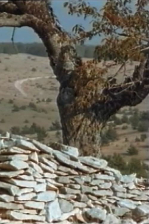 Buchladen: Giono - Bleibe, meine Freude (1992) poster