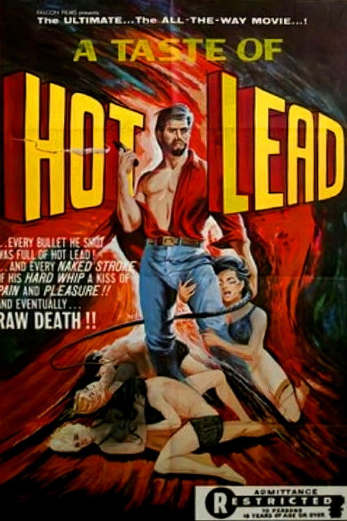 A Taste of Hot Lead (1969) poster