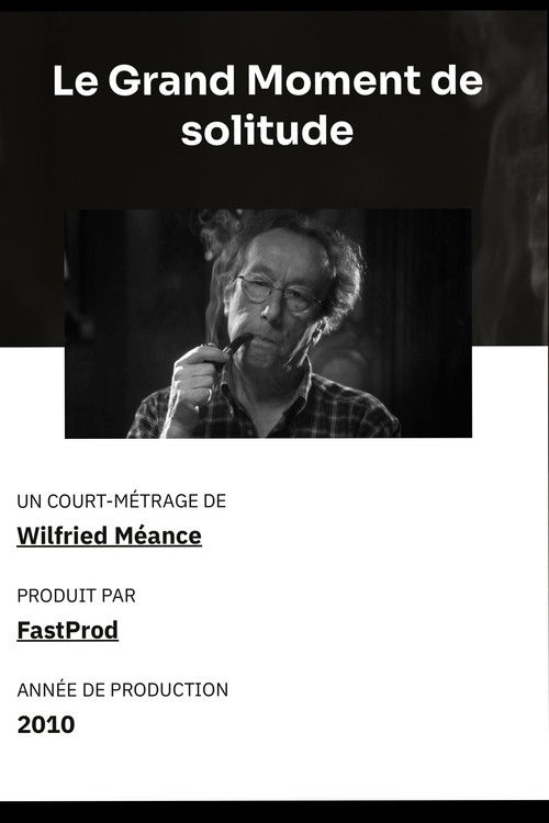 Le grand moment de solitude (2010) poster