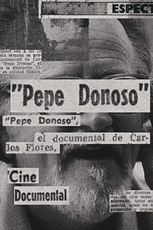 Pepe Donoso (1978) poster