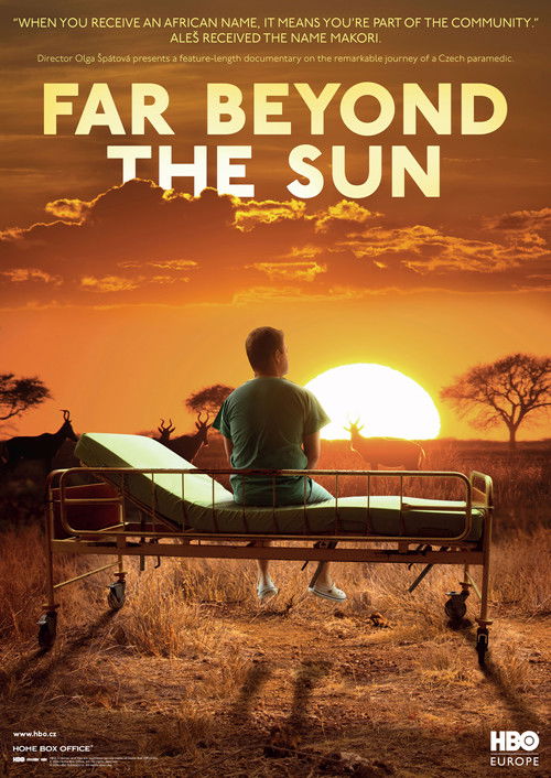 Far Beyond the Sun (2015) poster