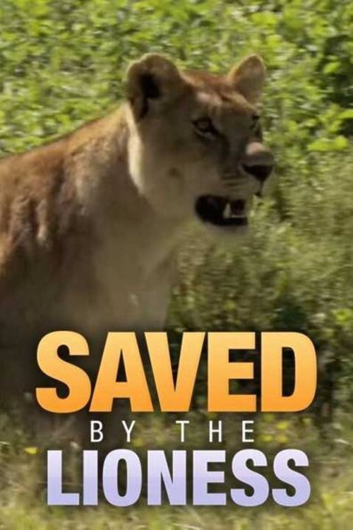 Saved by the Lioness (2009) poster