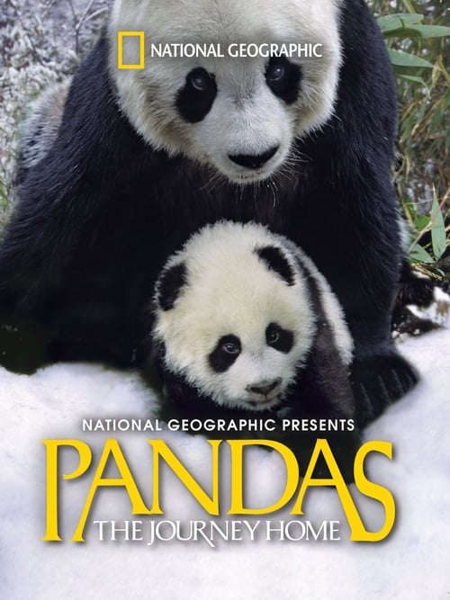 Pandas: The Journey Home (2014) poster
