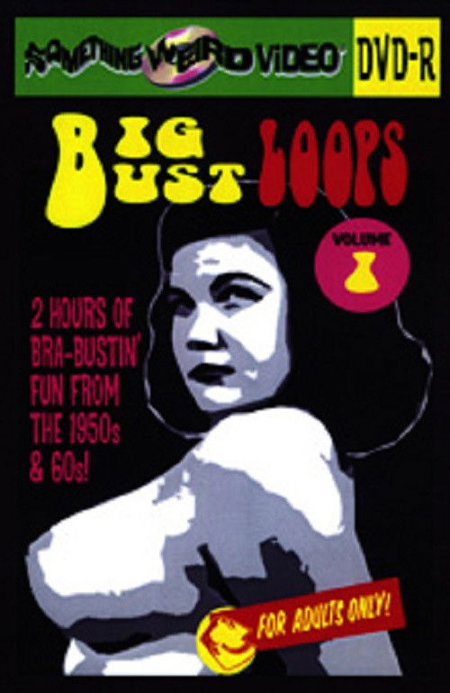 Big Bust Loops  Volume 1 (2009) poster