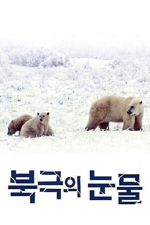 Tears in the Arctic (2009) poster