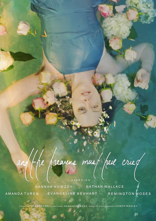 and the heavens must have cried (2025) poster