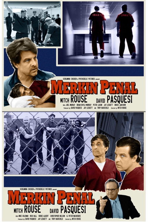 Merkin Penal (2014) poster