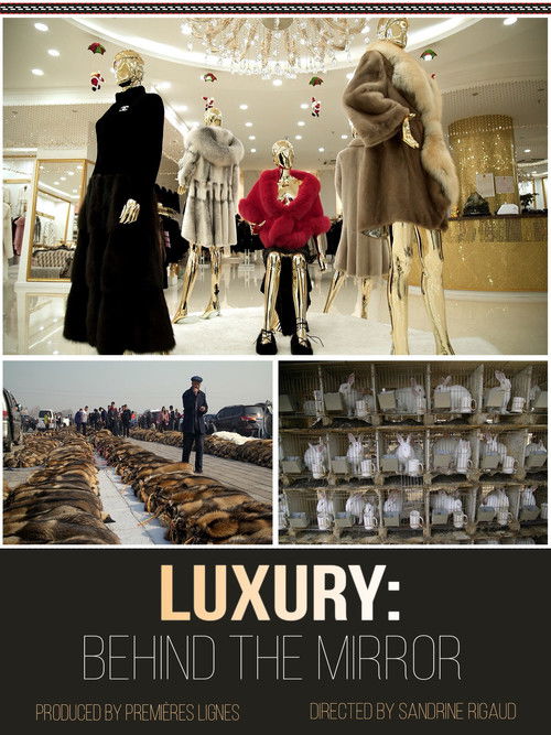 Luxury: Behind The Mirror (2019) poster