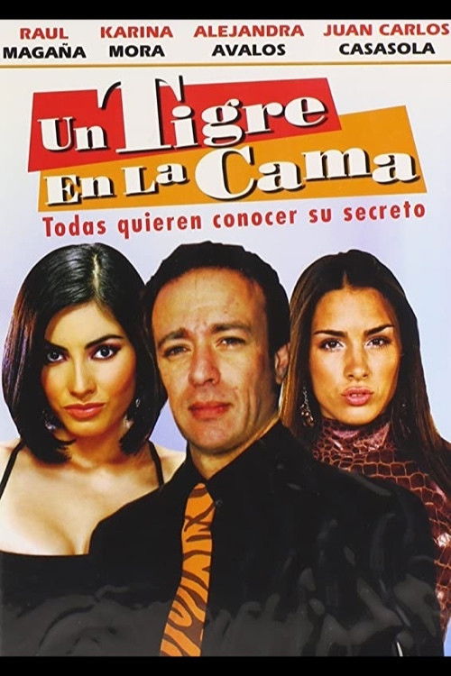 Un tigre en la cama (2009) poster