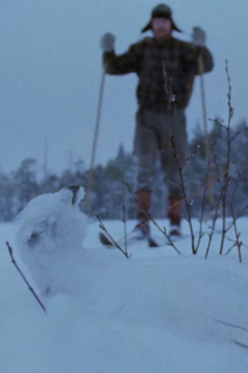 Tapiola (1974) poster