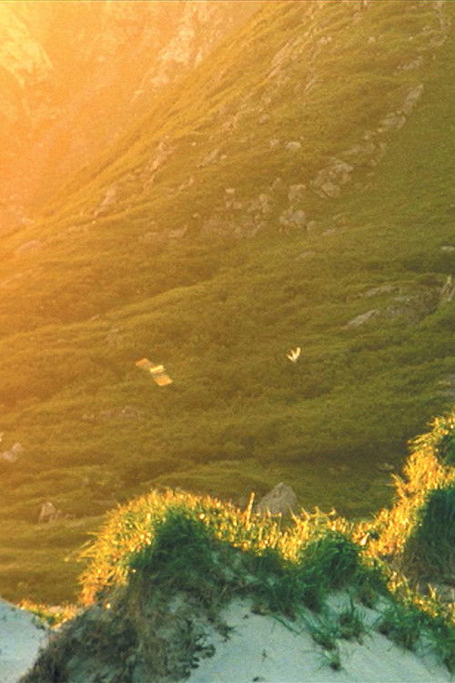 El Sueño de una cosa (2002) poster