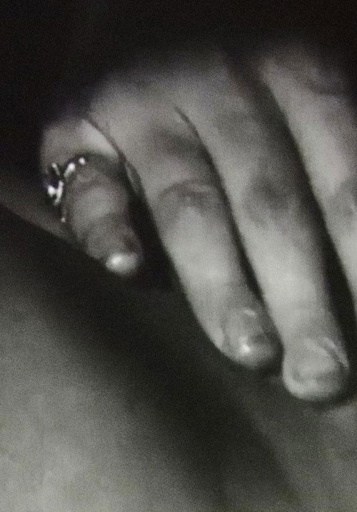 Fever Dream (1979) poster