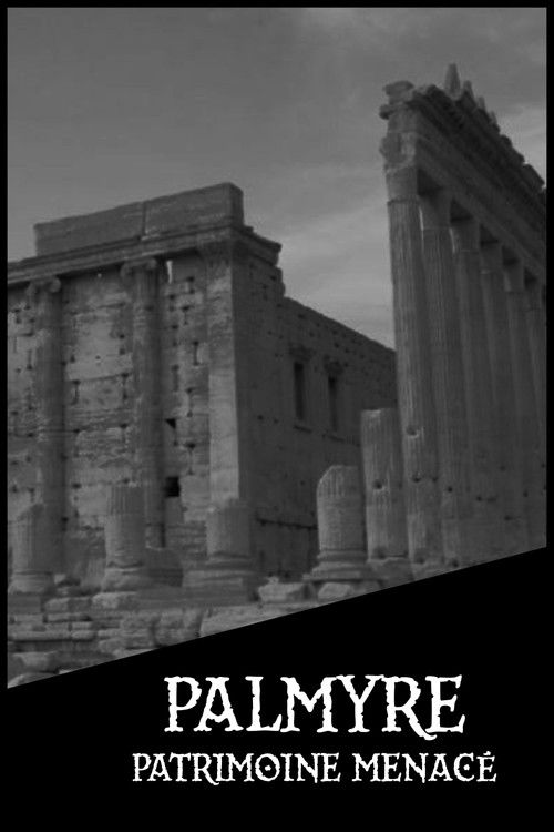 Palmyre, patrimoine menacé (2017) poster