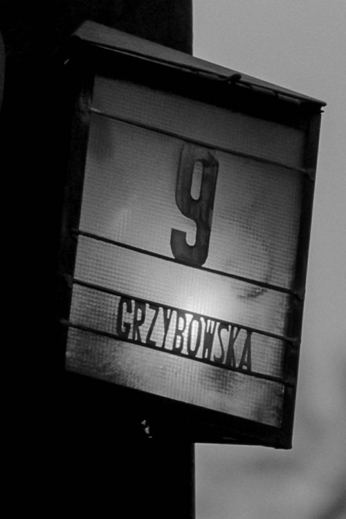 For Example, 9 Grzybowska Street (1991) poster