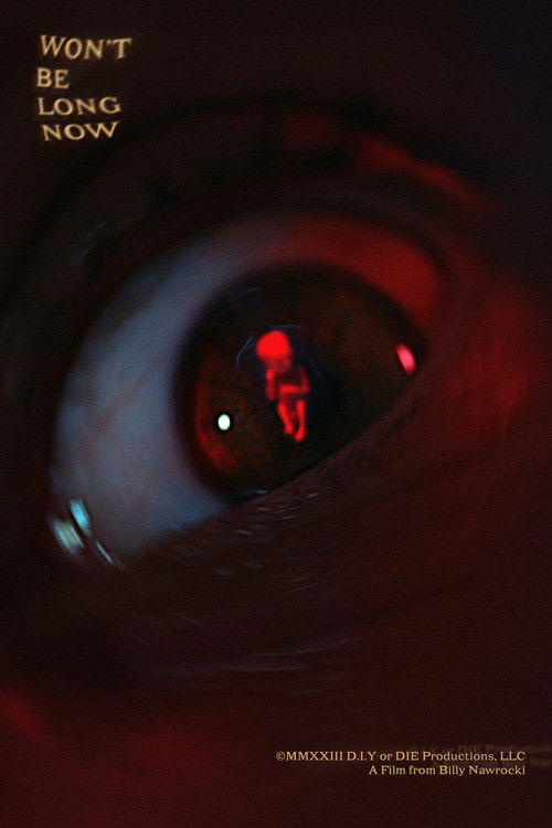 Won’t Be Long Now (2024) poster