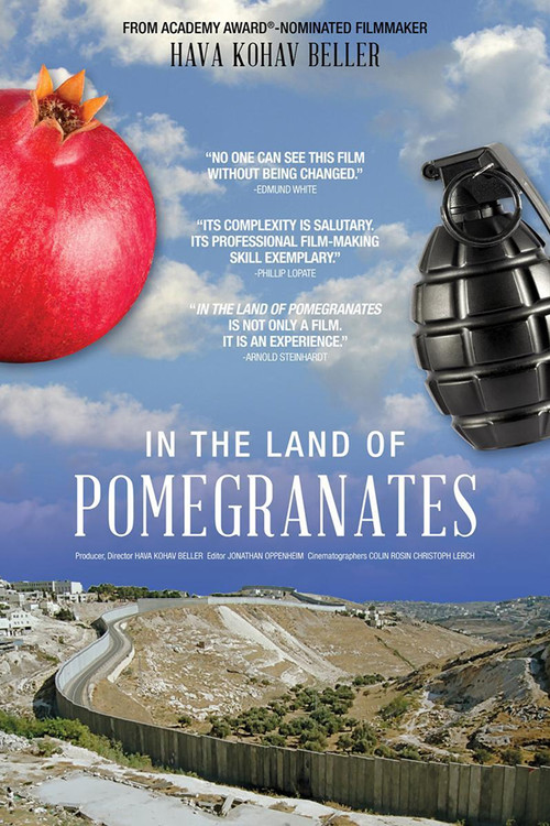 In the Land of Pomegranates (2018) poster