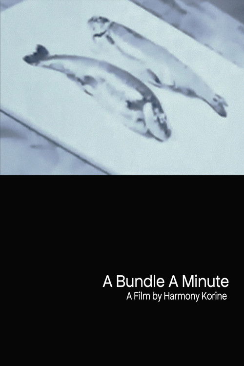 A Bundle A Minute (1991) poster