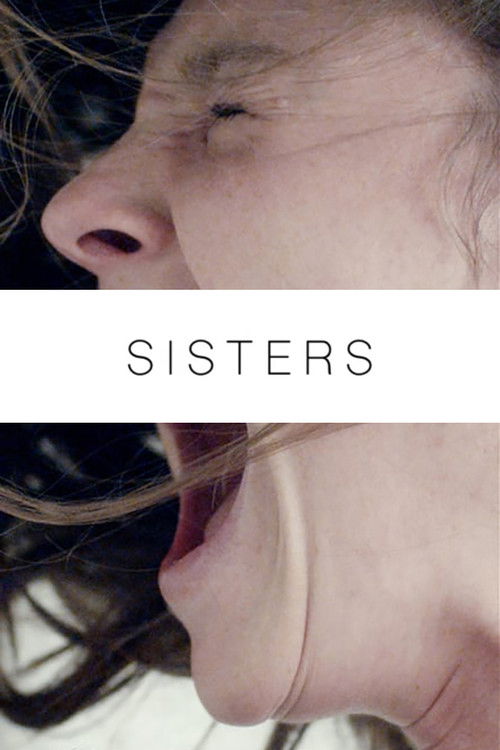 Sisters (2015) poster