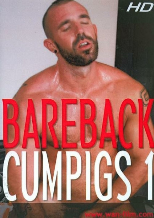 Bareback Cumpigs 1 (2011) poster