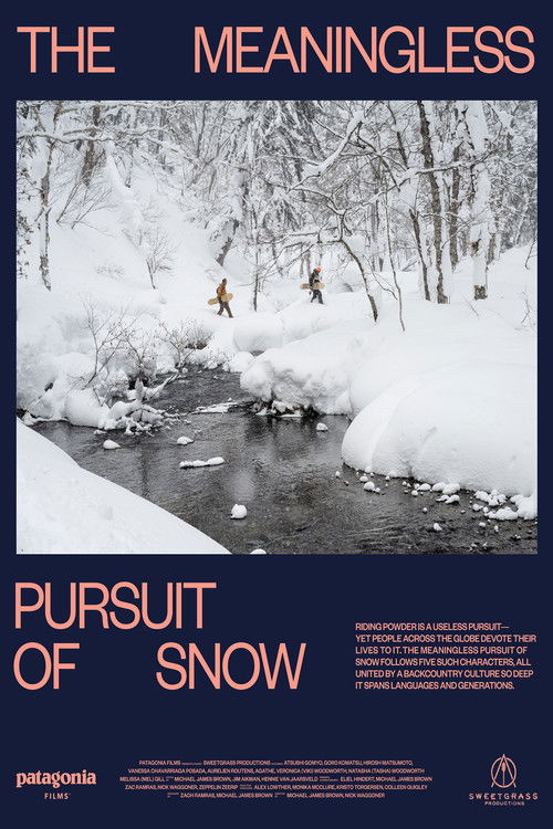 The Meaningless Pursuit of Snow (2023) poster