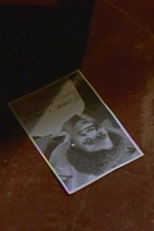 The Gaze of the Stars (1997) poster