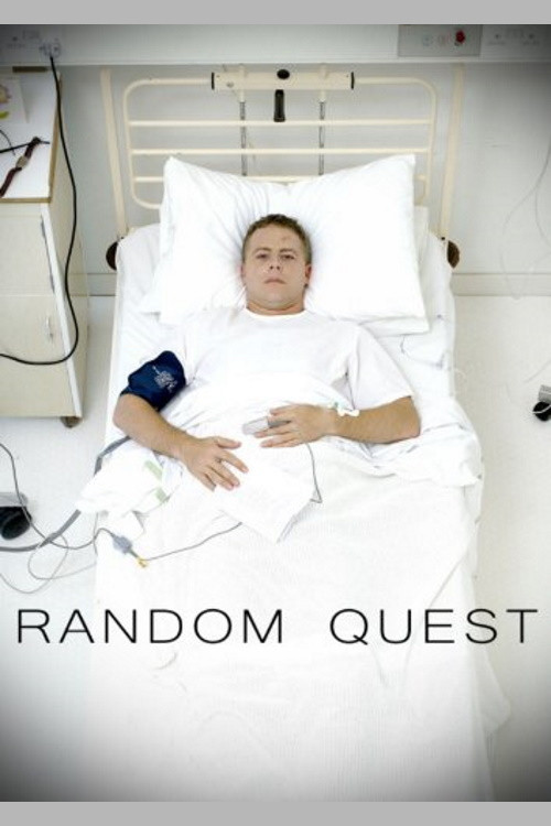 Random Quest (2006) poster