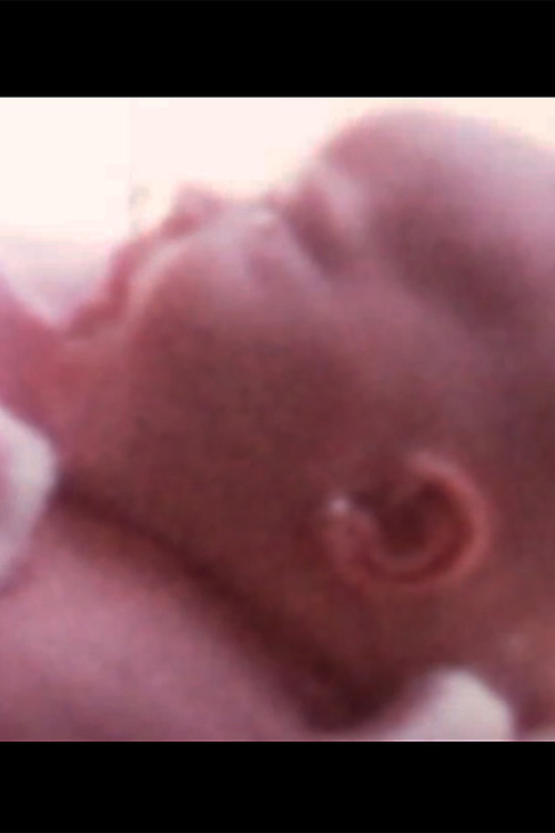 Vacation in the USA (2018) poster