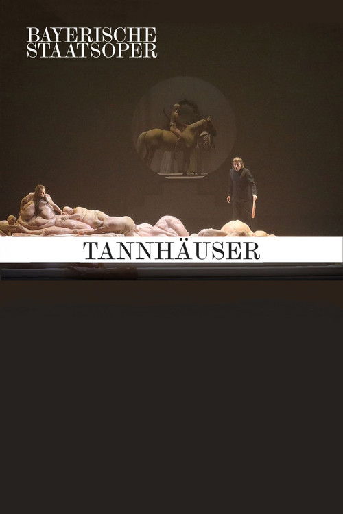 Tannhäuser und der Sängerkrieg auf der Wartburg (2017) poster