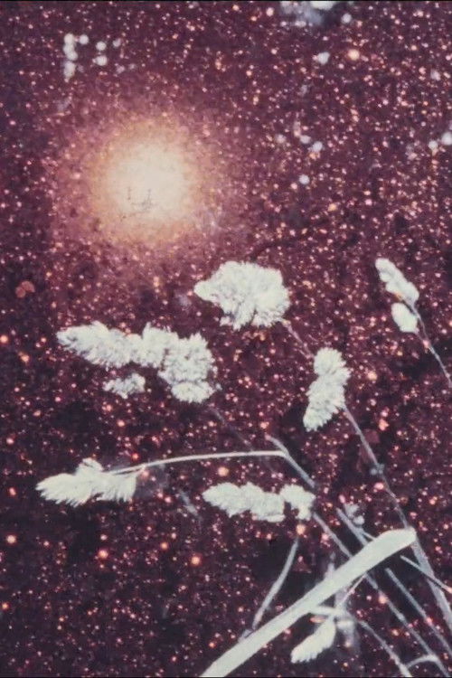 Winter Li (1981) poster