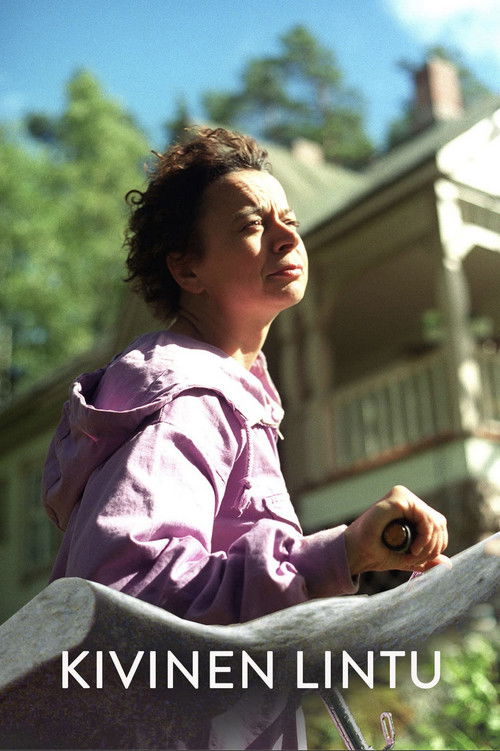 Kivinen lintu (1999) poster