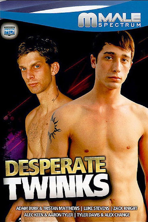 Desperate Twinks (2010) poster