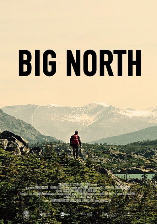 Big North (2020) poster