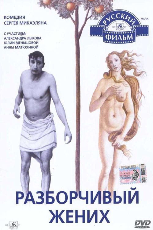 Разборчивый жених (1993) poster