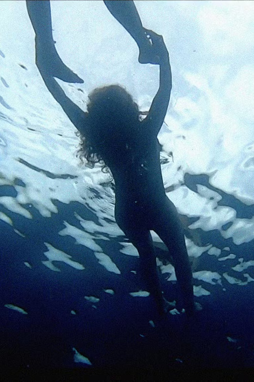 Sea Lovers (2020) poster