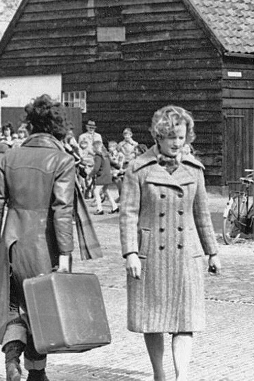 Groeten uit Zonnemaire poster