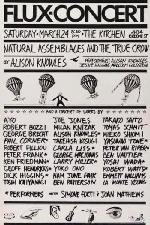 Flux-Concert (1979) poster