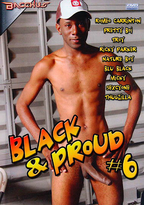 Black and Proud 6 (2007) poster
