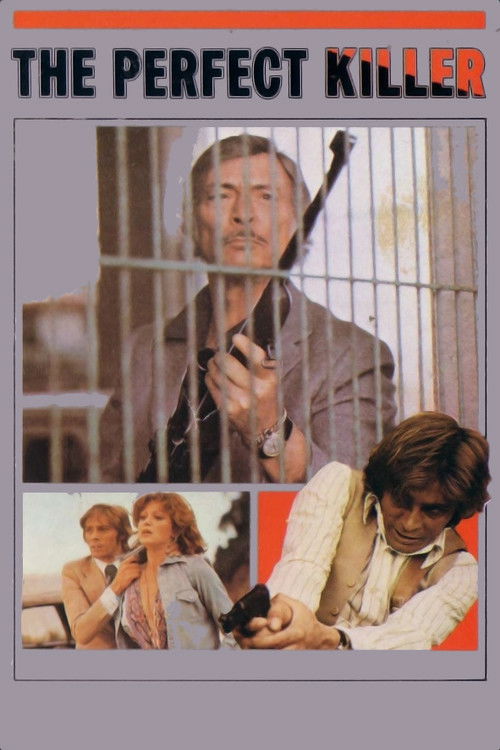 The Perfect Killer (1977) poster
