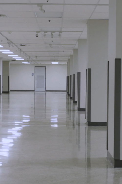 There is Nothing Underneath the West Virginia Wing (2018) poster