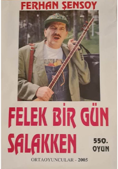 Felek Bir Gün Salakken (1995) poster