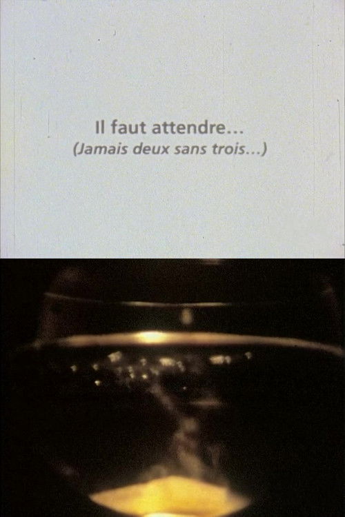 Il faut attendre (jamais deux sans trois) (1990) poster