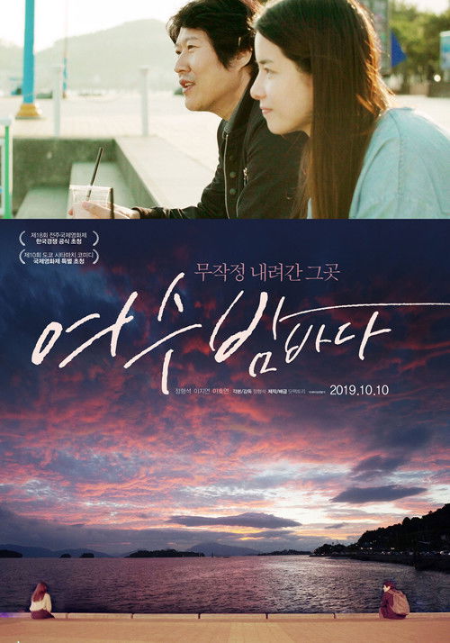 The Night View of the Ocean in Yeosu (2019) poster