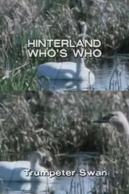 Hinterland Who's Who: Trumpeter Swan (1973) poster