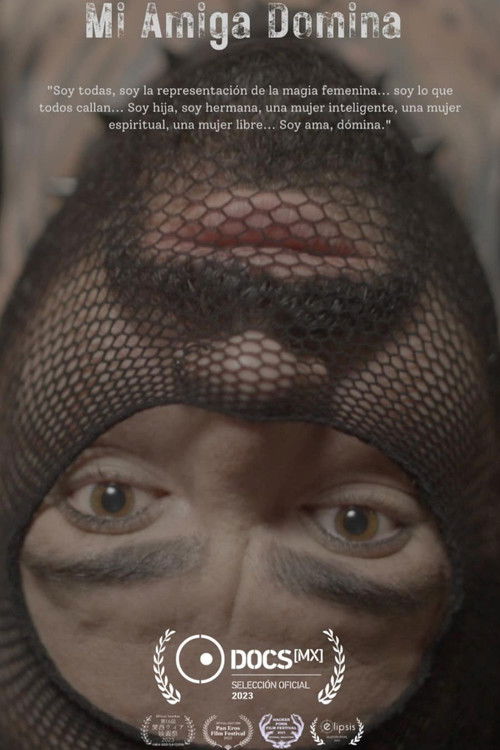 Mi amiga Domina poster