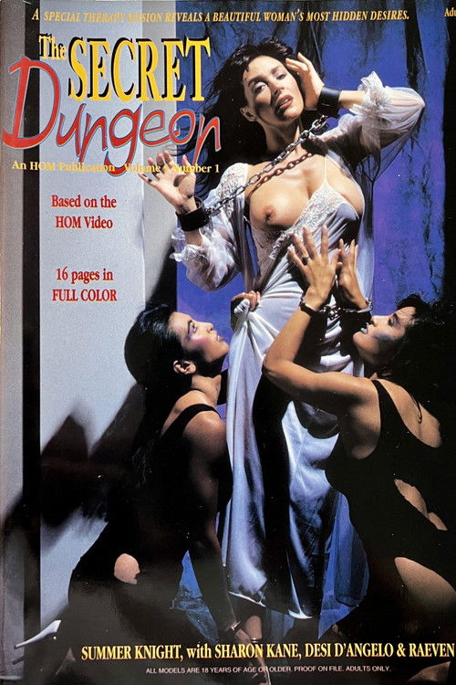 The Secret Dungeon (1994) poster