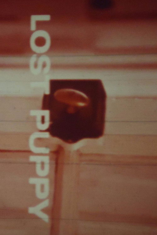 Lost Puppy (1969) poster