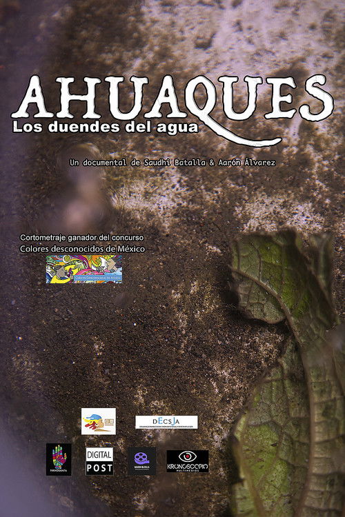 Ahuaques, the water elves (2020) poster
